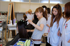 CUT STUDIO 17