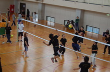 ﾊﾞﾚｰﾎﾞｰﾙ大会